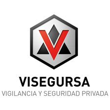 Visegursa Leon seguridad